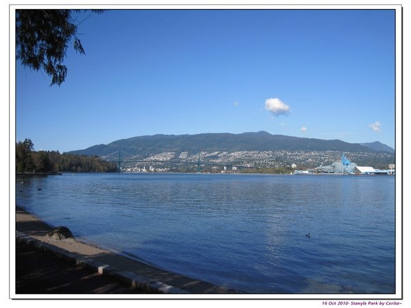 Stanyle Park-Lion Gate Bridge.jpg