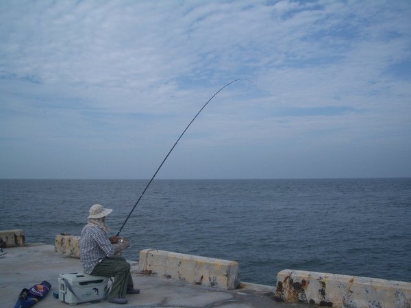 港邊海釣