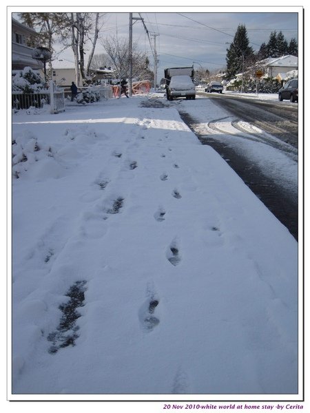 20101120-white world at my home stay 3.jpg