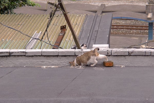 P1080527.JPG