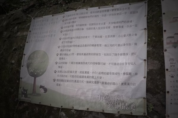P1080476.JPG