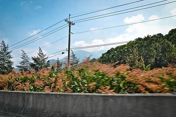 2012-0226 外婆家-11