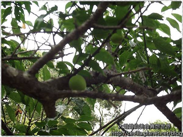 DSCF9771
