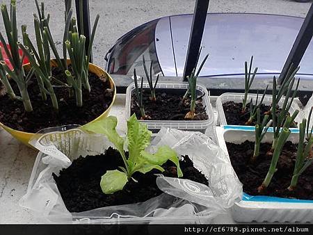 P270411_19.36.jpg