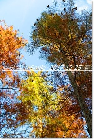 IMG_9414.JPG