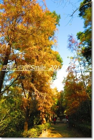 IMG_9437.JPG