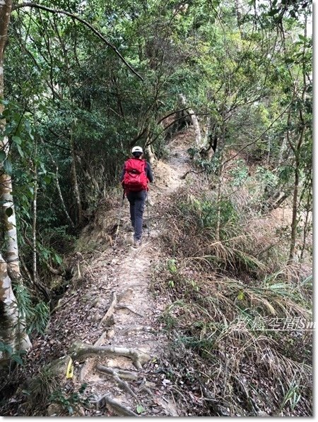 阿冷山-58.jpg