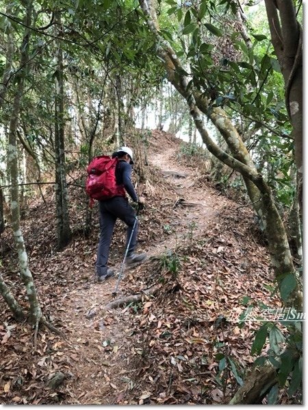 阿冷山-59.jpg