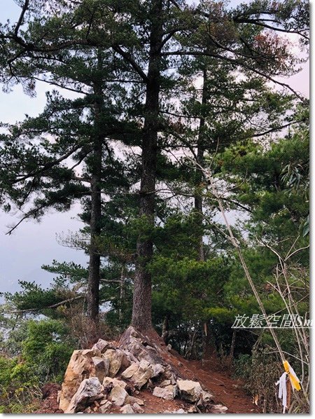 阿冷山-70.jpg