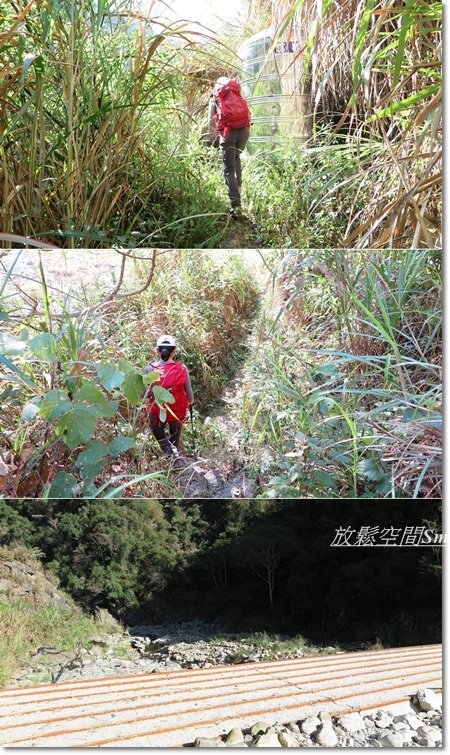 阿冷山-9.jpg