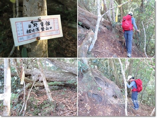阿冷山-30.jpg