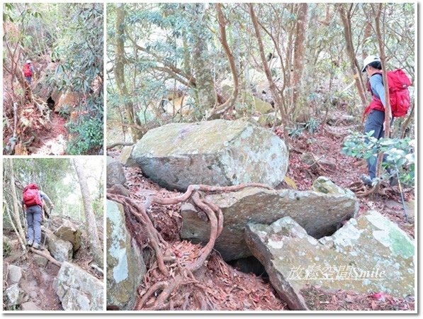 阿冷山-33.jpg