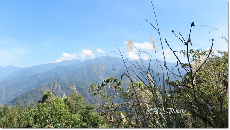 阿冷山-29.JPG