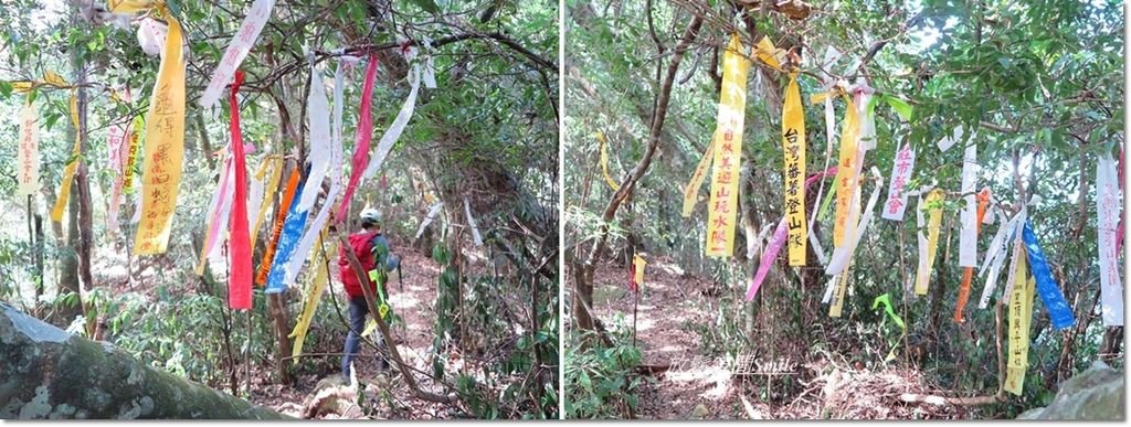 阿冷山-34.jpg