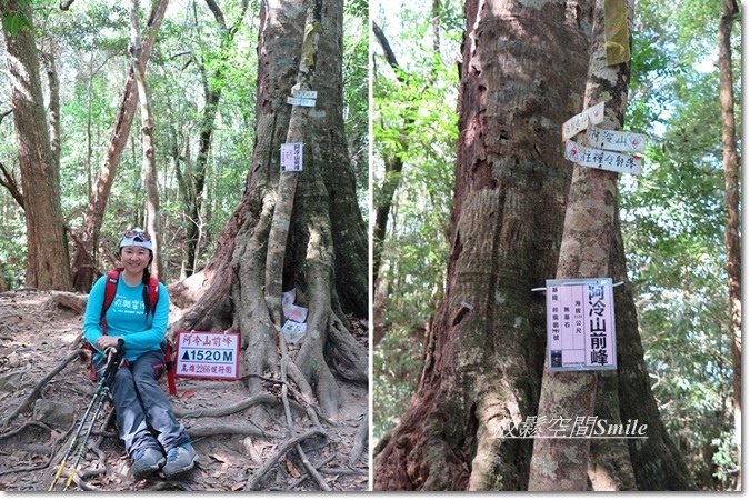 阿冷山-38.jpg