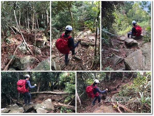 阿冷山-44.jpg