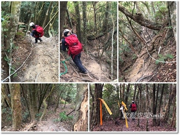 阿冷山-46.jpg