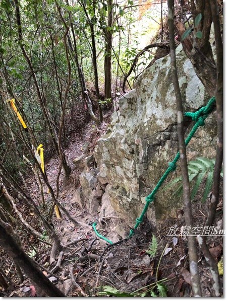 阿冷山-48.jpg