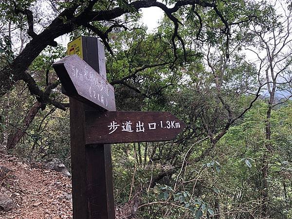 LINE_ALBUM_東卯山東南陵_211110_24.jpg