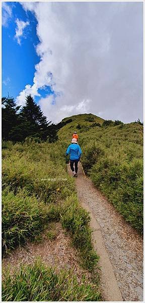 【南投】合歡山東峰+石門山+下午茶。Cona&apos;s 清境妮娜巧