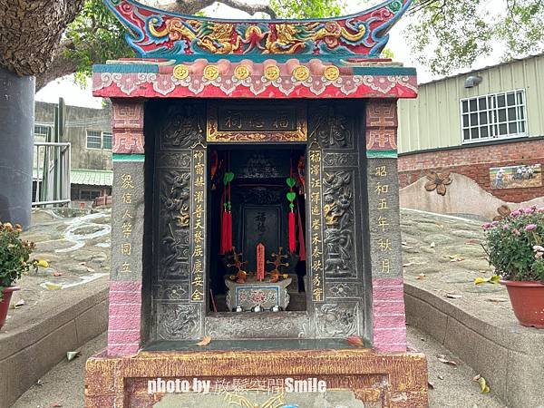 【苗栗|公館】鶴岡神木，樟樹與茄冬樹共生夫妻樹_老樹情懷4