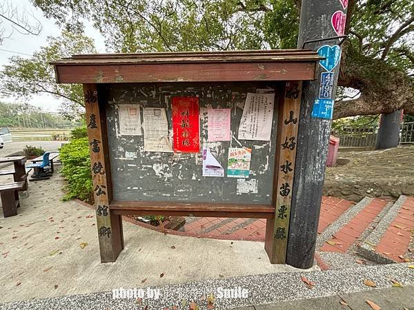 【苗栗|公館】鶴岡神木，樟樹與茄冬樹共生夫妻樹_老樹情懷4