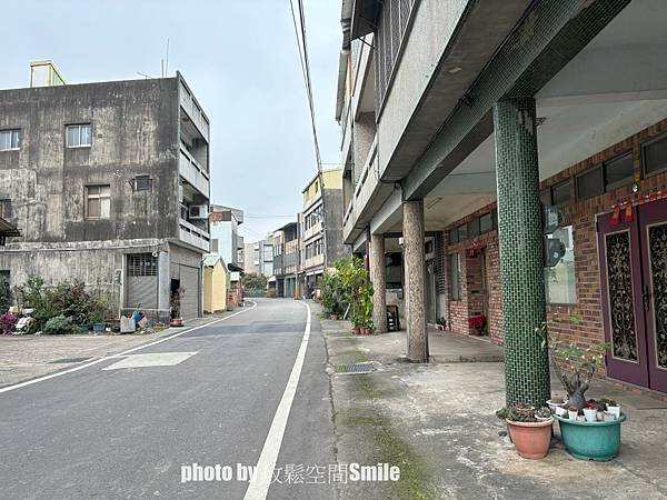 【苗栗|公館】鶴岡神木，樟樹與茄冬樹共生夫妻樹_老樹情懷4