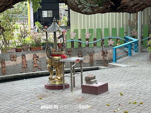 【苗栗|公館】鶴岡神木，樟樹與茄冬樹共生夫妻樹_老樹情懷4