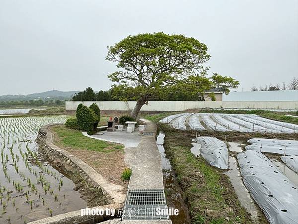 【苗栗公館】五穀宮+銅鑼窯站牌+田心伯公廟快閃**小記錄