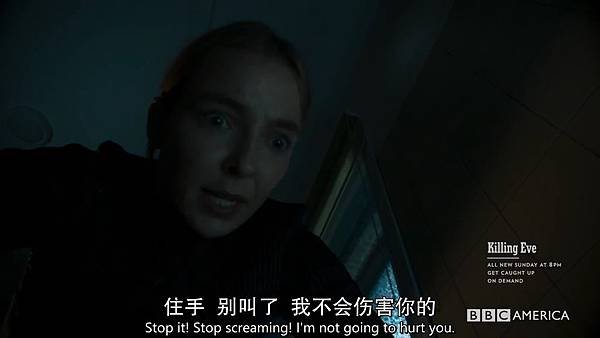 杀死伊芙.Killing.Eve.S01E05.中英字幕.HDTVrip.720P-LOT.V2[18-43-19].JPG