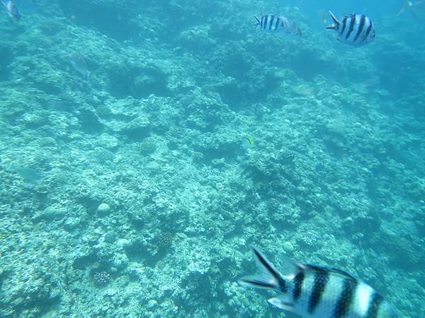 IMG_4037.JPG
