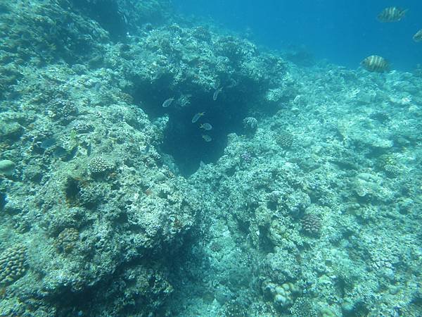 IMG_4039.JPG