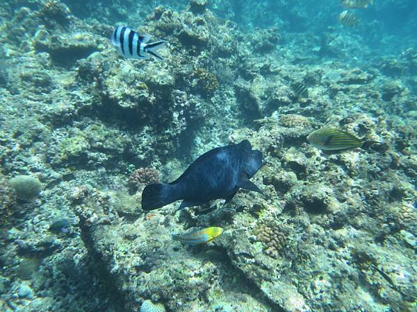 IMG_4045.JPG