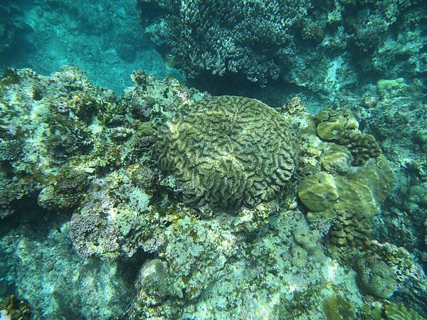 IMG_4075.JPG