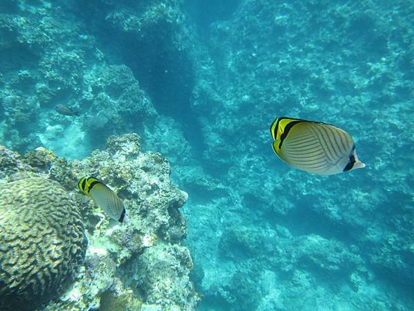 IMG_4076.JPG