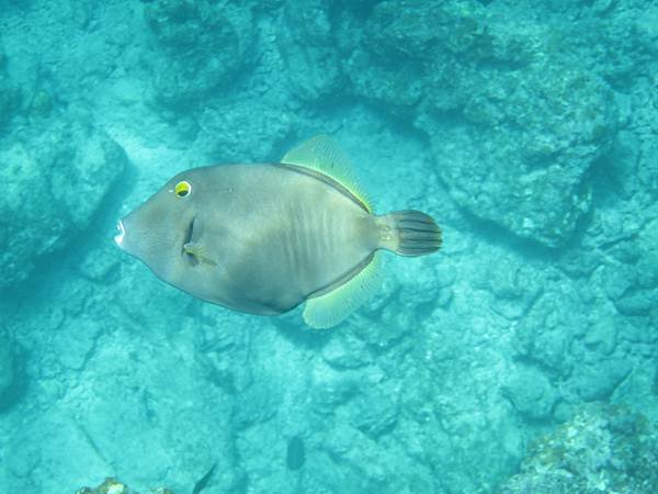 IMG_4077.JPG