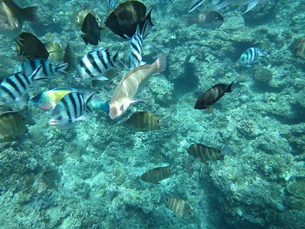 IMG_4078.JPG