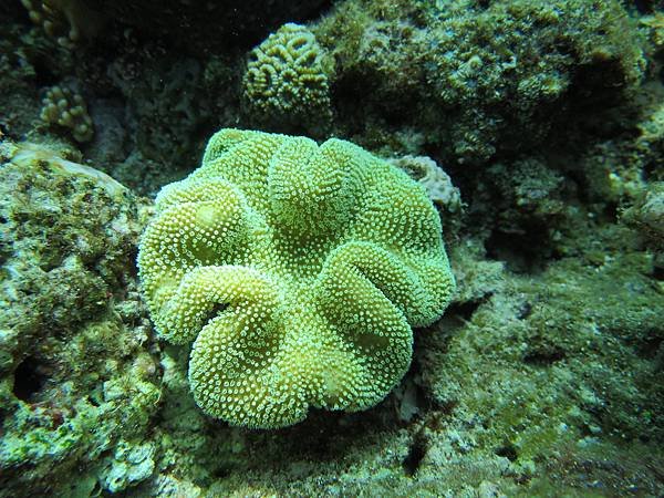 IMG_4094.JPG