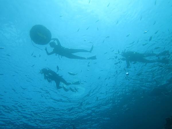 IMG_4090.JPG