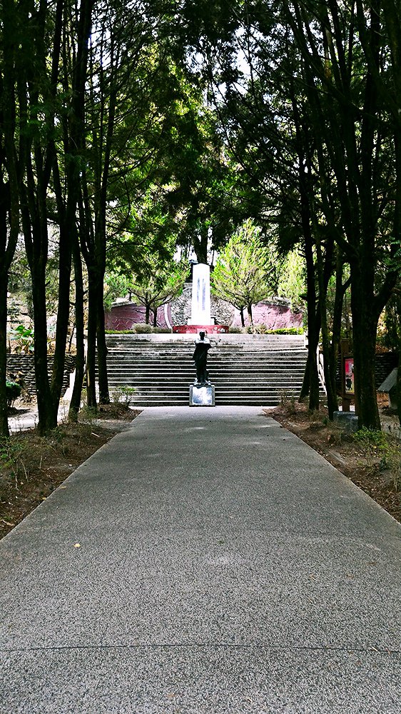 goMeihuaTemp_mh1448174476693.jpg
