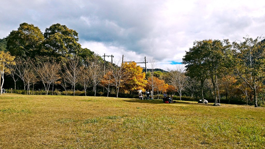 P_20151120_135837_mh1448174675295.jpg