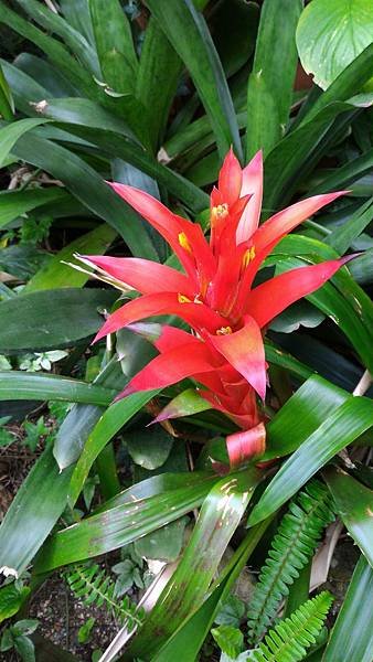 P_20160611_151206_1_p.jpg