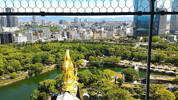 P_20170617_092223_p.jpg