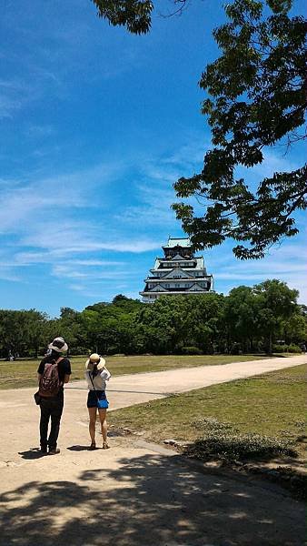 P_20170617_115237_p.jpg