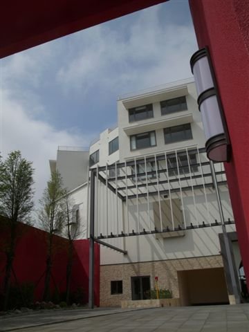 P1130185.JPG