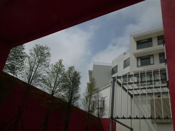 P1130186.JPG