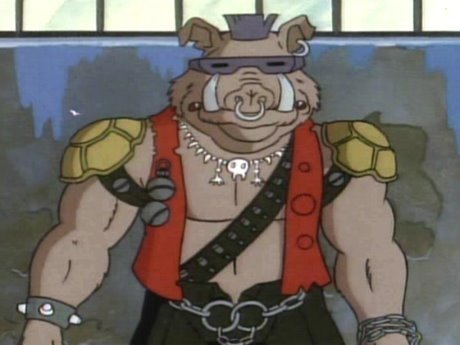 TMNT1987rocksteady&amp;bebop (21).jpg