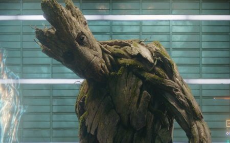 guardians-of-the-galaxy-groot and rocket (11).jpg