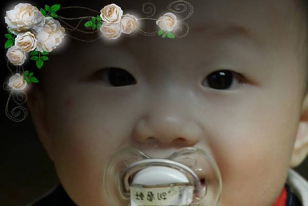 DSCN0401=.jpg