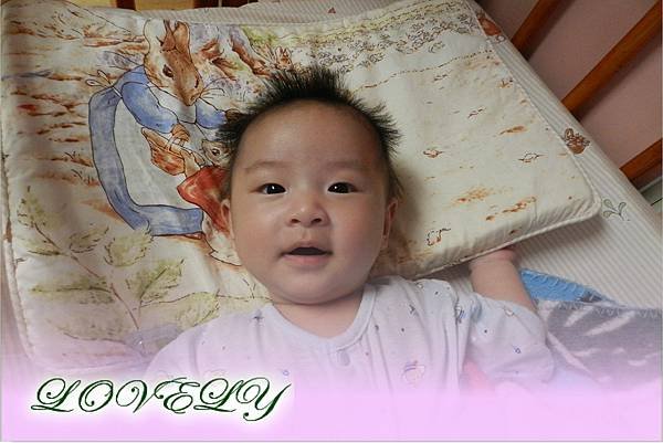 DSCN0431=.jpg